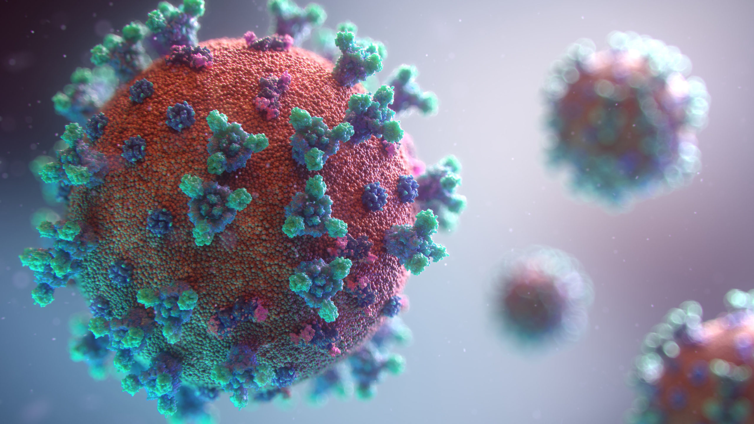 Basic Protective Measures Against The New Coronavirus